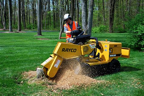 tree stump removal rental equipment